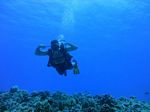 Hawaii Scuba divng 25