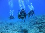 Hawaii Scuba divng 26