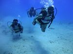 Hawaii Scuba divng 40