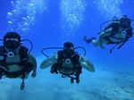 Hawaii Scuba divng 41