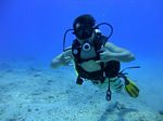 Hawaii Scuba divng 43