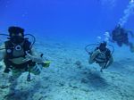 Hawaii Scuba divng 47