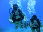 Hawaii Scuba divng 48