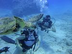 Hawaii Scuba divng 51