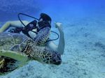 Hawaii Scuba divng 53