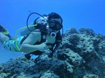 Hawaii Scuba divng 63