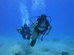 Hawaii Scuba divng 69