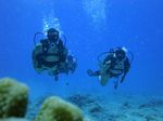 Hawaii Scuba divng 70