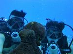 Hawaii Scuba divng 77