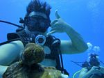 Hawaii Scuba divng 78