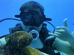 Hawaii Scuba divng 79