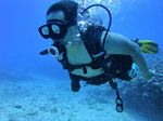 Hawaii Scuba divng 83