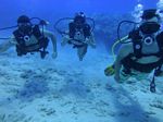 Hawaii Scuba divng 85