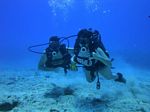 Hawaii Scuba divng 87