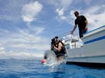 Hawaii Scuba divng 08