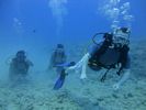 Hawaii Scuba divng 10