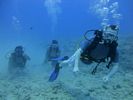 Hawaii Scuba divng 10