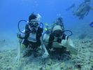 Hawaii Scuba divng 12