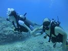 Hawaii Scuba divng 13