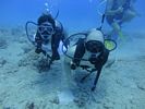 Hawaii Scuba divng 16