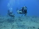 Hawaii Scuba divng 17