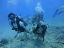 Hawaii Scuba divng 18