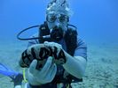 Hawaii Scuba divng 23