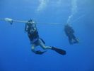 Hawaii Scuba divng 30