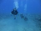 Hawaii Scuba divng 34