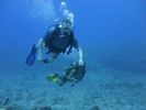 Hawaii Scuba divng 35