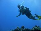 Hawaii Scuba divng 38