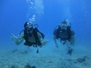 Hawaii Scuba divng 47