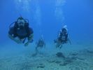 Hawaii Scuba divng 48