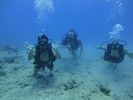 Hawaii Scuba divng 49