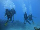 Hawaii Scuba divng 58