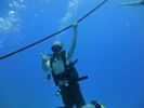 Hawaii Scuba divng 05