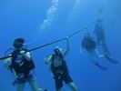 Hawaii Scuba divng 06