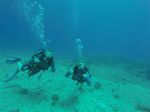 Hawaii Scuba divng 10