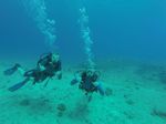 Hawaii Scuba divng 11