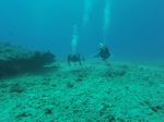 Hawaii Scuba divng 14