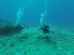 Hawaii Scuba divng 15