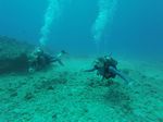 Hawaii Scuba divng 16