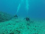 Hawaii Scuba divng 17