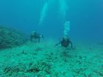 Hawaii Scuba divng 18