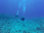 Hawaii Scuba divng 19