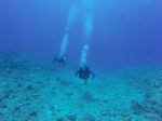 Hawaii Scuba divng 20