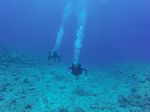 Hawaii Scuba divng 21