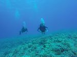 Hawaii Scuba divng 24