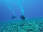 Hawaii Scuba divng 25