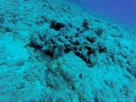 Hawaii Scuba divng 29